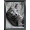 ALU snäppramar 25mm (G) 50x70 cm RAL7012 #1