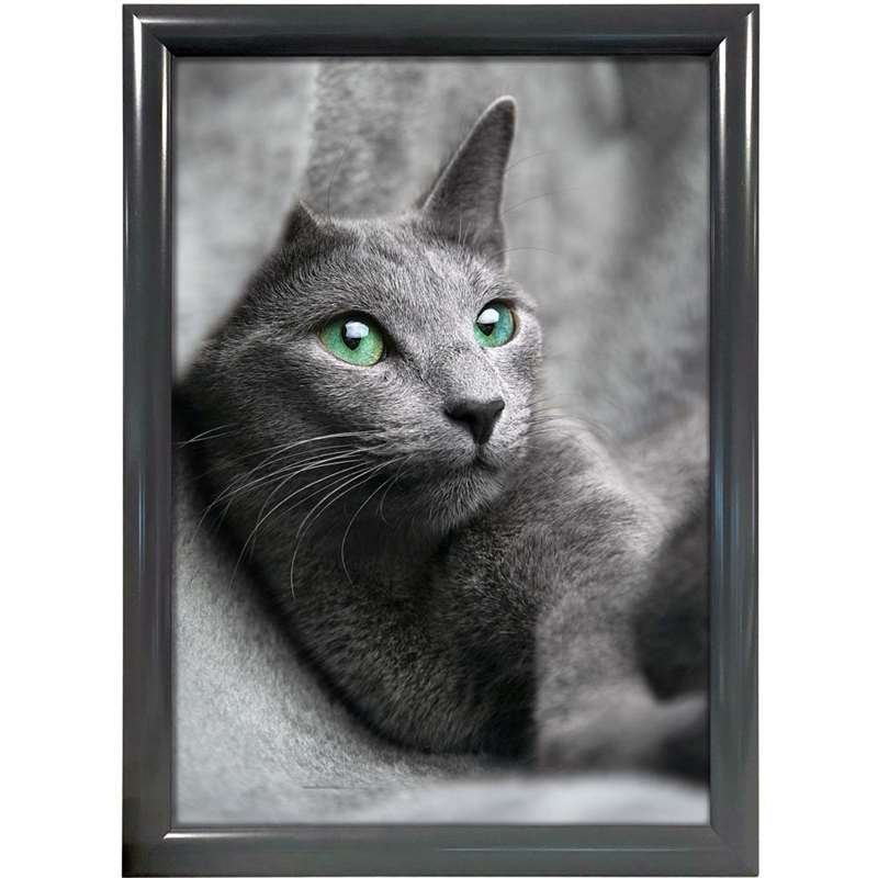 ALU snäppramar 25mm (G) 50x70 cm RAL7012 #1