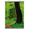 Affischremsa Dubbelsidig - B1 - 70cm #2