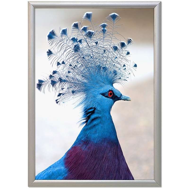 Alu sn&auml;ppramar, silver, 17 mm profil, 70 x 100 cm