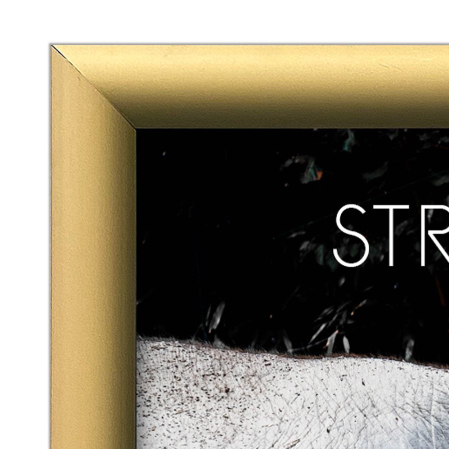 Alu sn&auml;ppramar - 25 mm - A4 - guldanodiserad